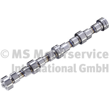 BF Nokkenas 20100208342