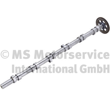 BF Nokkenas 20100347106