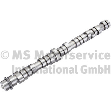 BF Nokkenas 20100411004