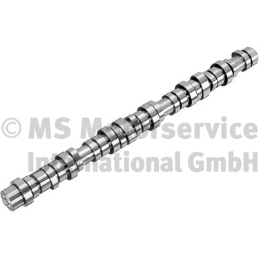 BF Nokkenas 20100413014