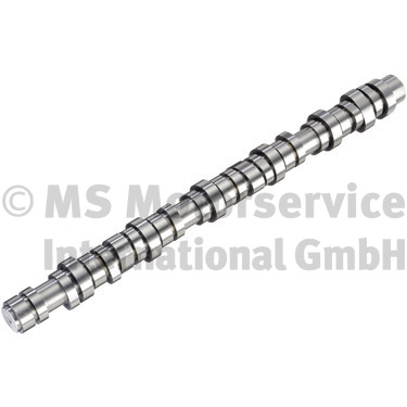 BF Nokkenas 20100413015