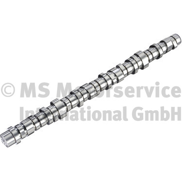 BF Nokkenas 20100416004