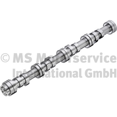 BF Nokkenas 20100716002