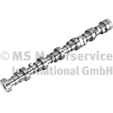 BF Nokkenas 20100913006