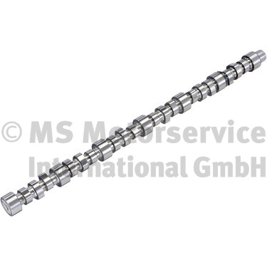 BF Nokkenas 20101215104