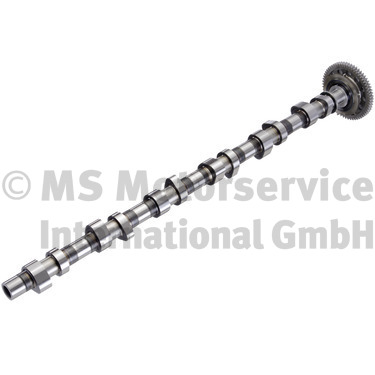 BF Nokkenas 20101812700