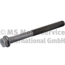 BF Cilinderkopbout 20080910509