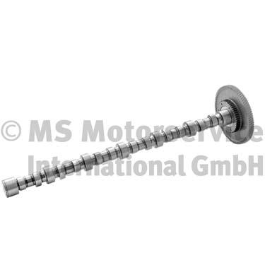 BF Nokkenas 20100228761