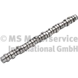 BF Nokkenas 20100413005