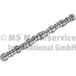 BF Nokkenas 20100713001