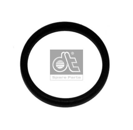 Dt Spare Parts Oliefilterhuis pakking / O-ring 2.11430
