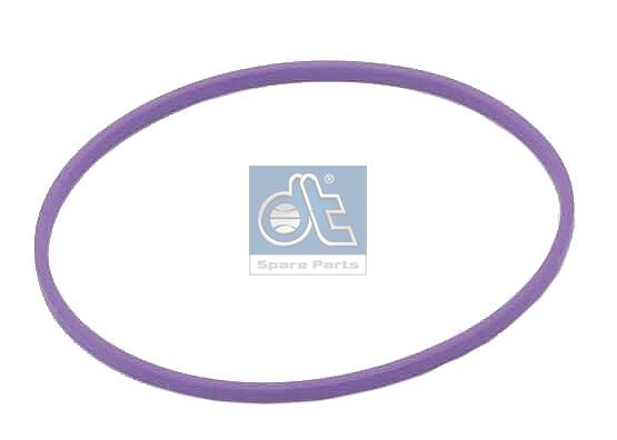 Dt Spare Parts Brandstofpomp pakking 2.12111