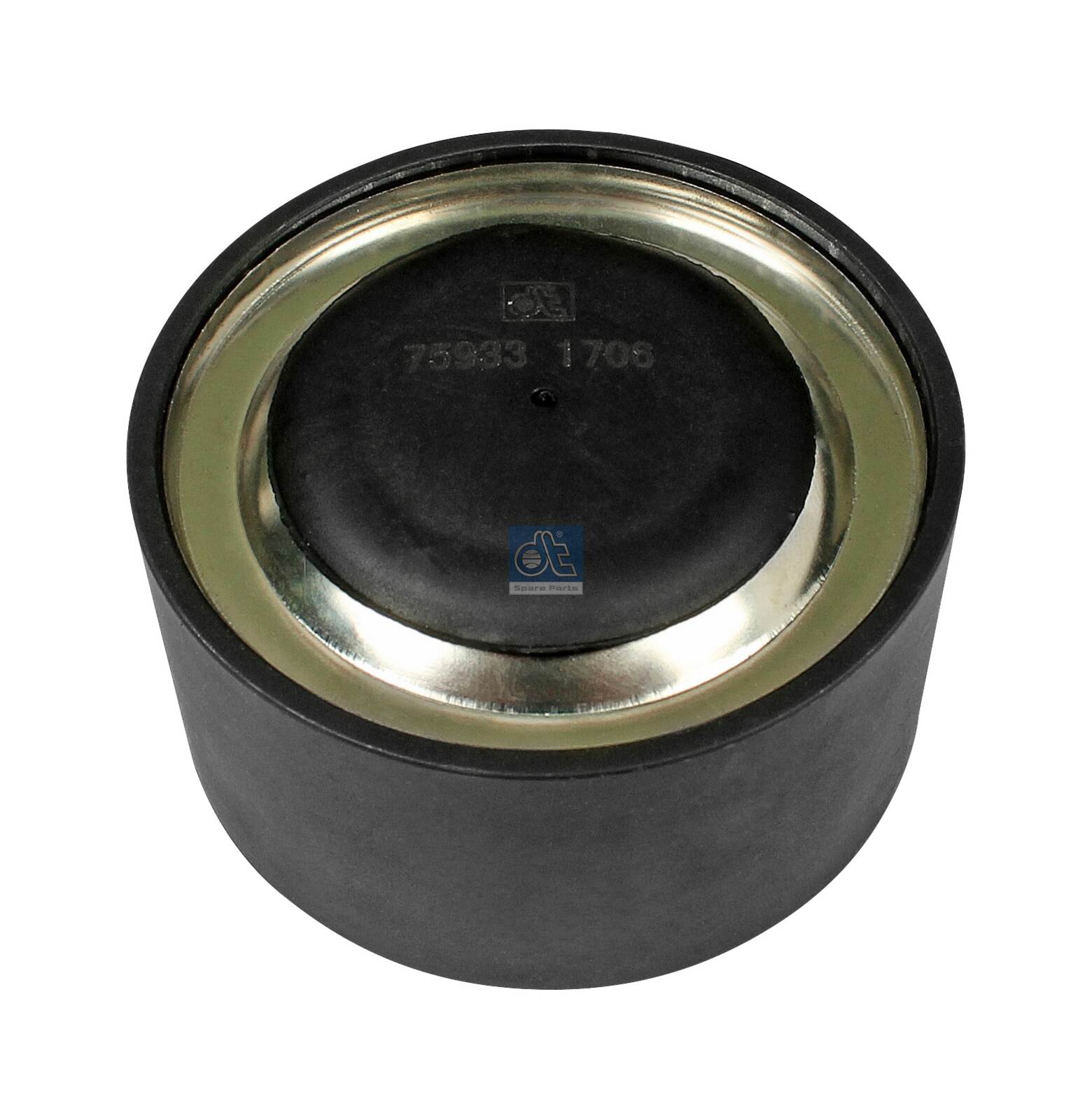 Dt Spare Parts Geleiderol (poly) V-riem 2.15574