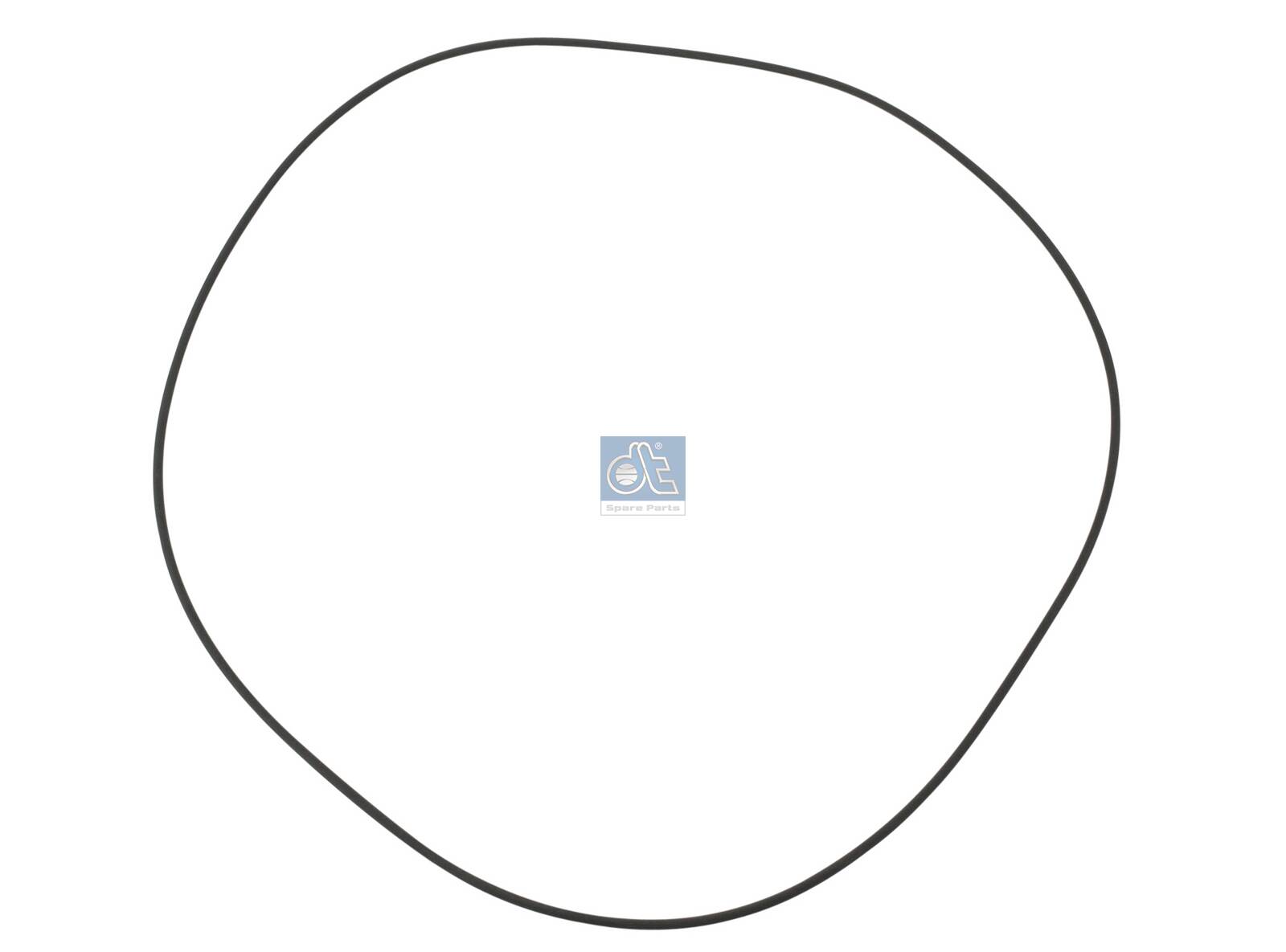 Dt Spare Parts Wielnaaf afdichtring 2.35052