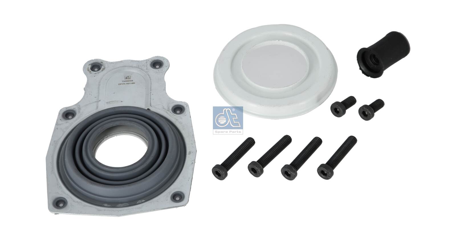 Dt Spare Parts Remklauw revisie 3.96460