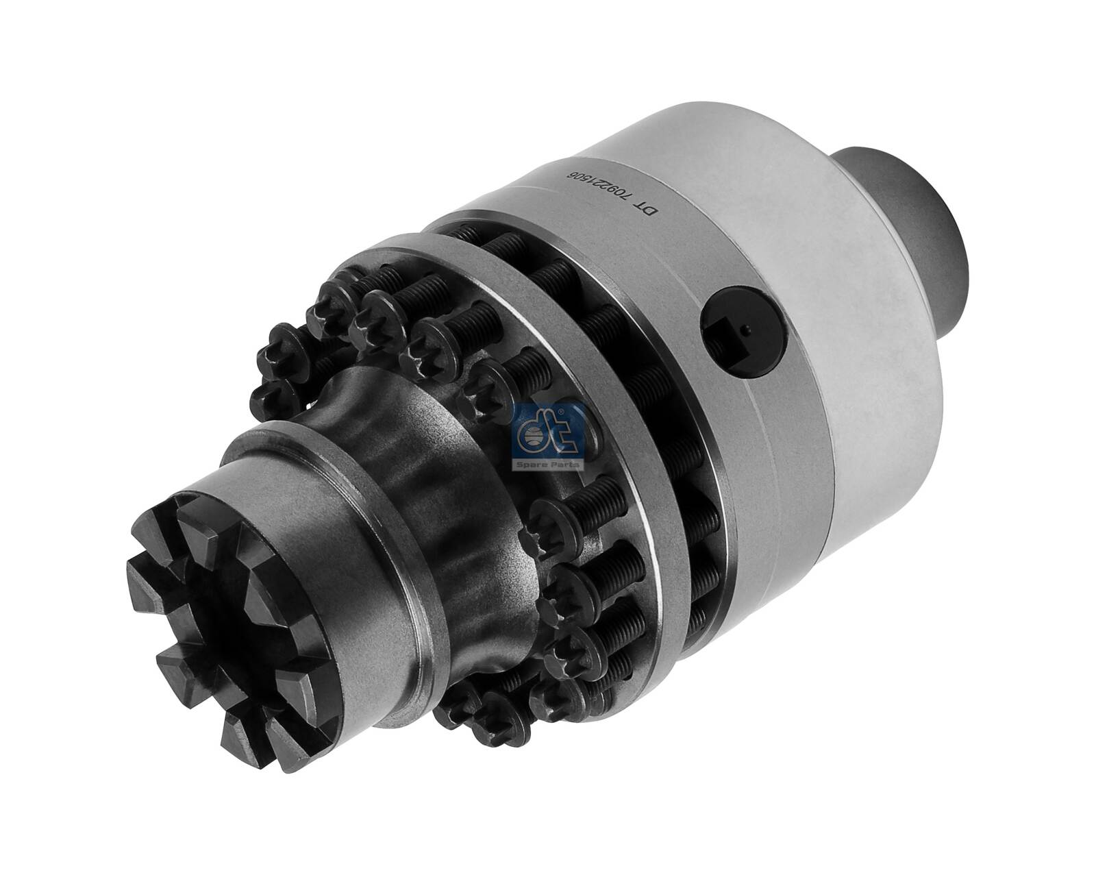 Dt Spare Parts Reparatieset differentieel 4.91600