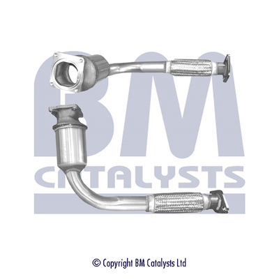 Bm Catalysts Katalysator BM80069H