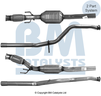 Bm Catalysts Katalysator BM80127H