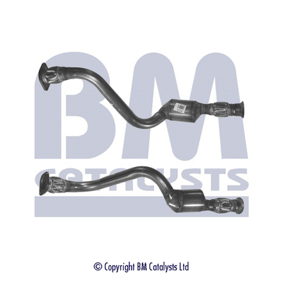 Bm Catalysts Katalysator BM80234H