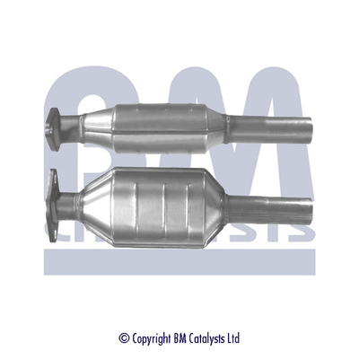 Bm Catalysts Katalysator BM80248H