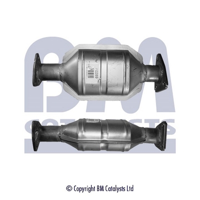 Bm Catalysts Katalysator BM80289H