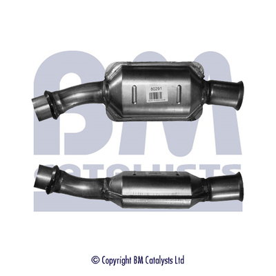 Bm Catalysts Katalysator BM80291H