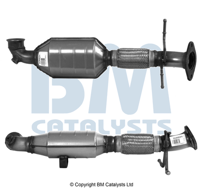 Bm Catalysts Katalysator BM80442H