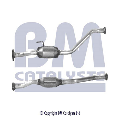 Bm Catalysts Katalysator BM90017H