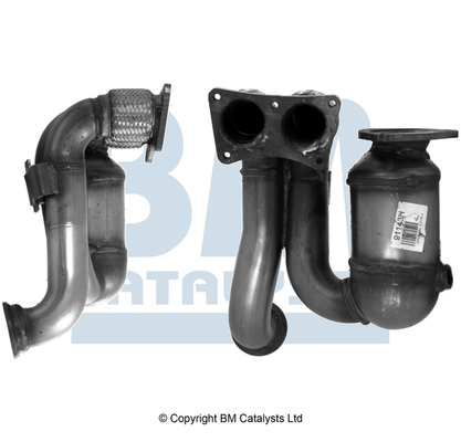 Bm Catalysts Katalysator BM91143H