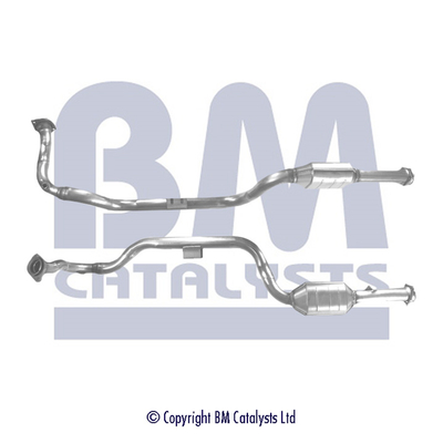 Bm Catalysts Katalysator BM91174H