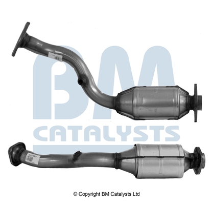 Bm Catalysts Katalysator BM91749H