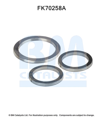 Bm Catalysts Uitlaat montageset FK70258