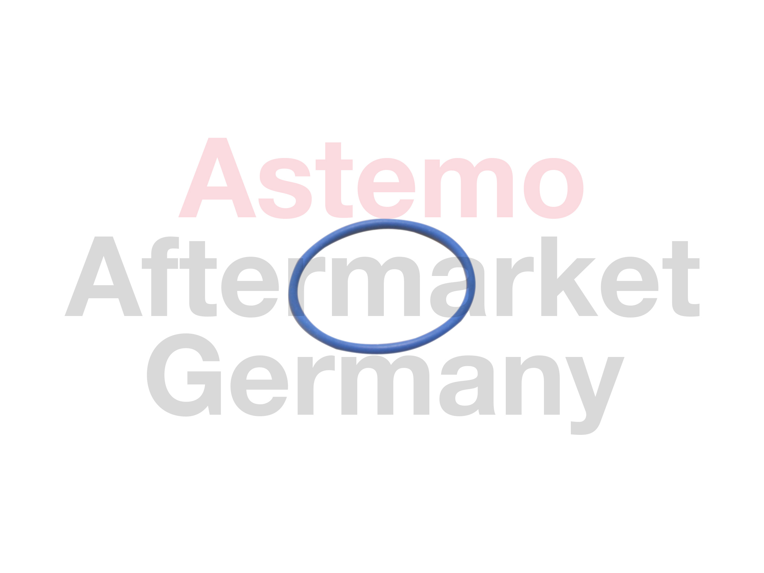 Hitachi Brandstofpomp pakking 2503056