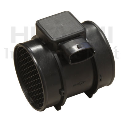 Hitachi Luchtmassameter 2508972
