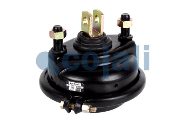 Cojali Remcilindermembraan 2251105