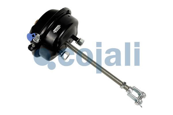 Cojali Remcilindermembraan 2251123