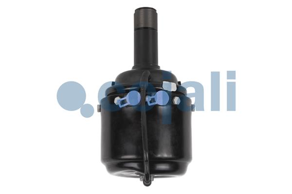 Cojali Veeraccumulator remcilinder 2251305