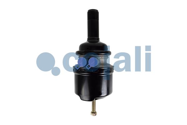 Cojali Veeraccumulator remcilinder 2251307