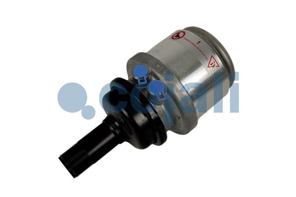 Cojali Veeraccumulator remcilinder 2251313