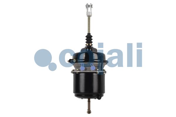 Cojali Veeraccumulator remcilinder 2251414