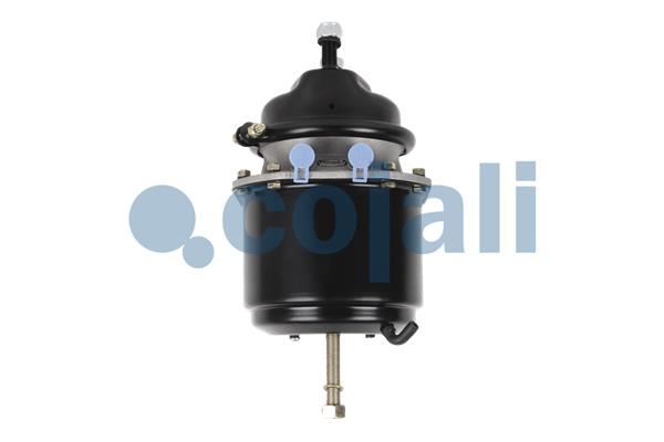 Cojali Veeraccumulator remcilinder 2251512
