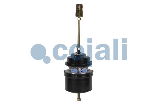 Cojali Veeraccumulator remcilinder 2251528