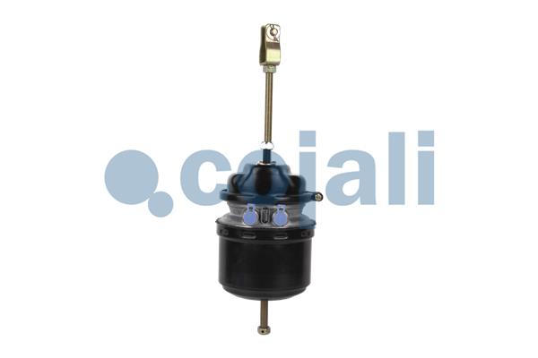 Cojali Veeraccumulator remcilinder 2251550