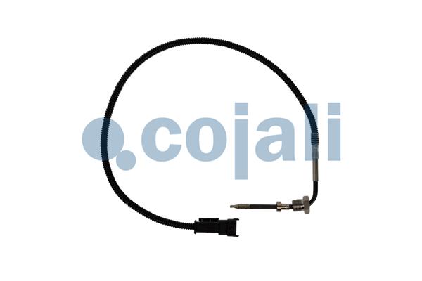 Cojali Sensor uitlaatgastemperatuur 2260892