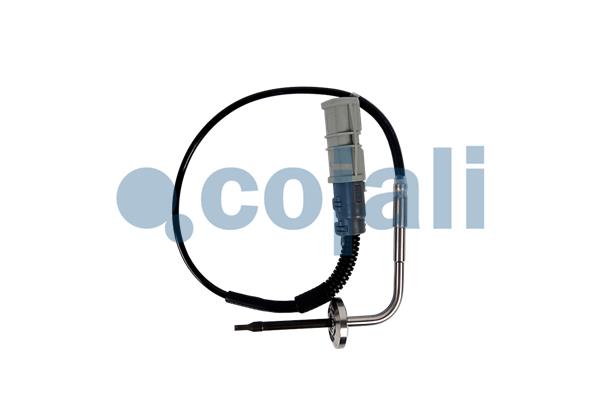 Cojali Sensor uitlaatgastemperatuur 2260895