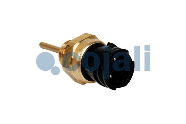 Cojali Temperatuursensor 2260982