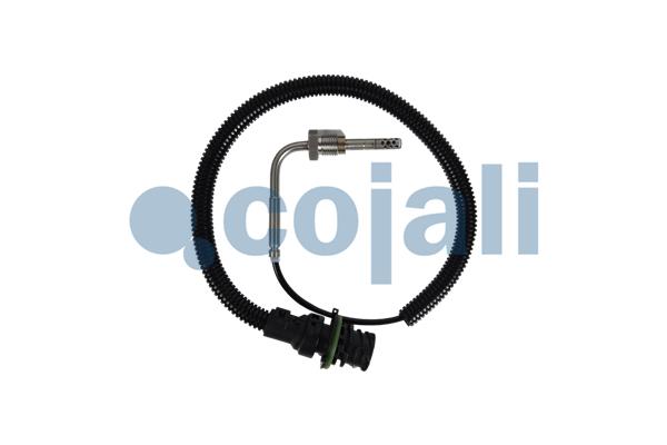 Cojali Sensor uitlaatgastemperatuur 2262004