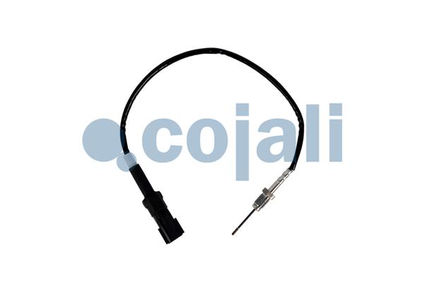 Cojali Sensor uitlaatgastemperatuur 2262007