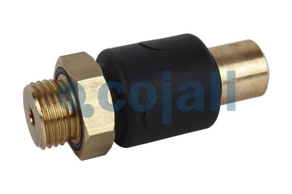 Cojali Multicircuit beschermingsklep 2280110