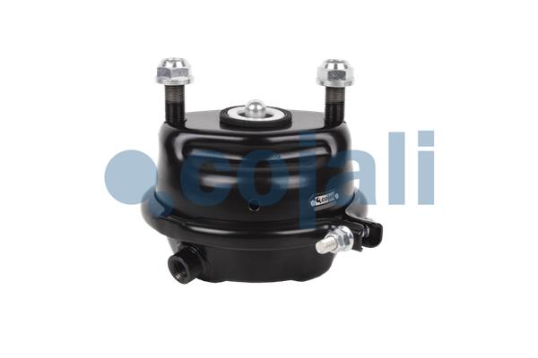 Cojali Remcilindermembraan 2351310